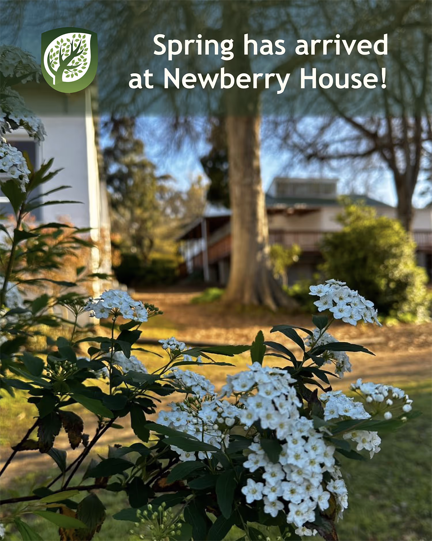Spring at Newberry