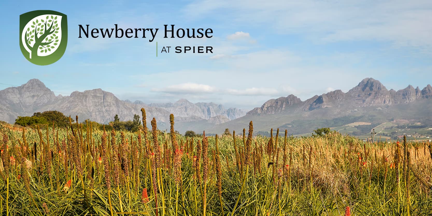 Newberry Spier campus — opening 2026 on the Spier Estate, Stellenbosch