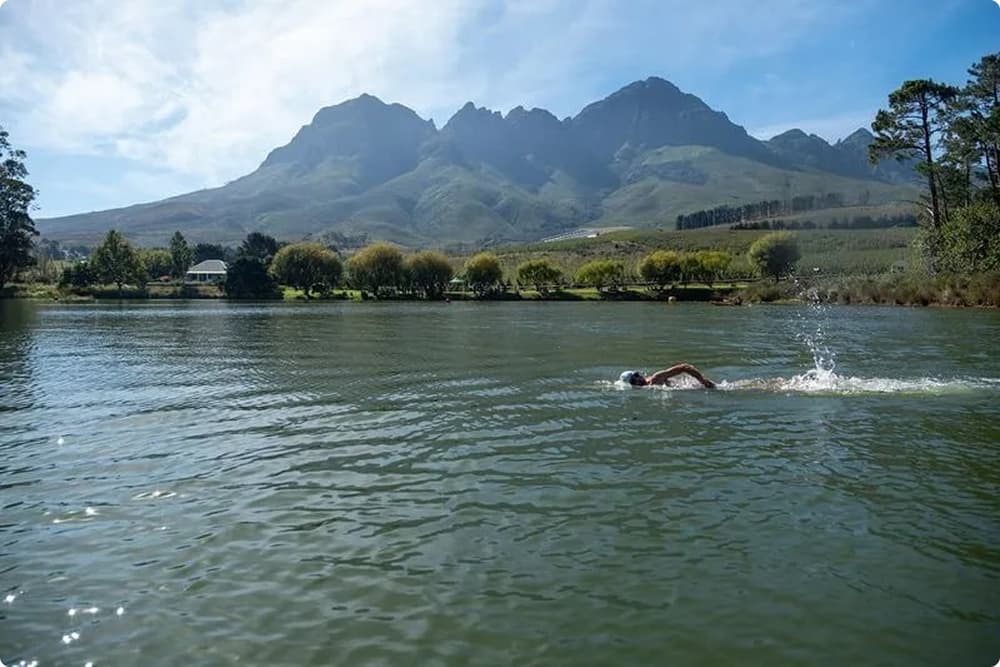 Open water swimming with Helderberg mountains