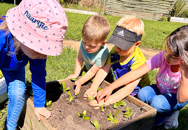 Children gardening together in bright sunlight