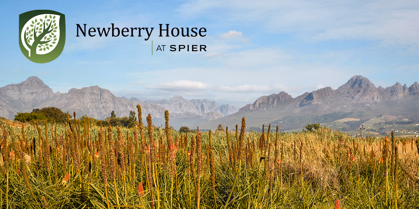 Newberry Spier campus banner — Spier Estate, Stellenbosch