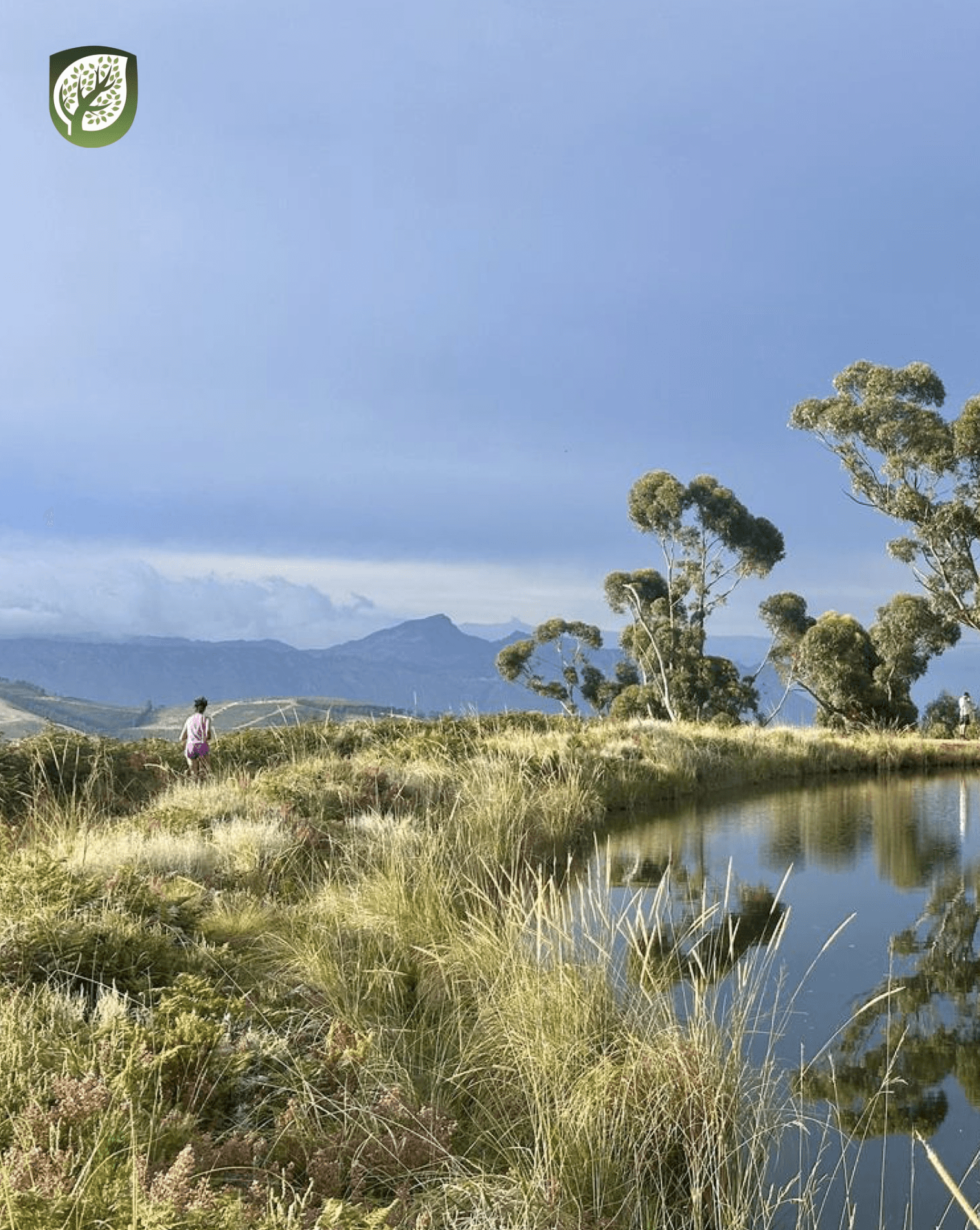 Experience in Action: Trail Running at Lourensford 🏃♂️🌿
