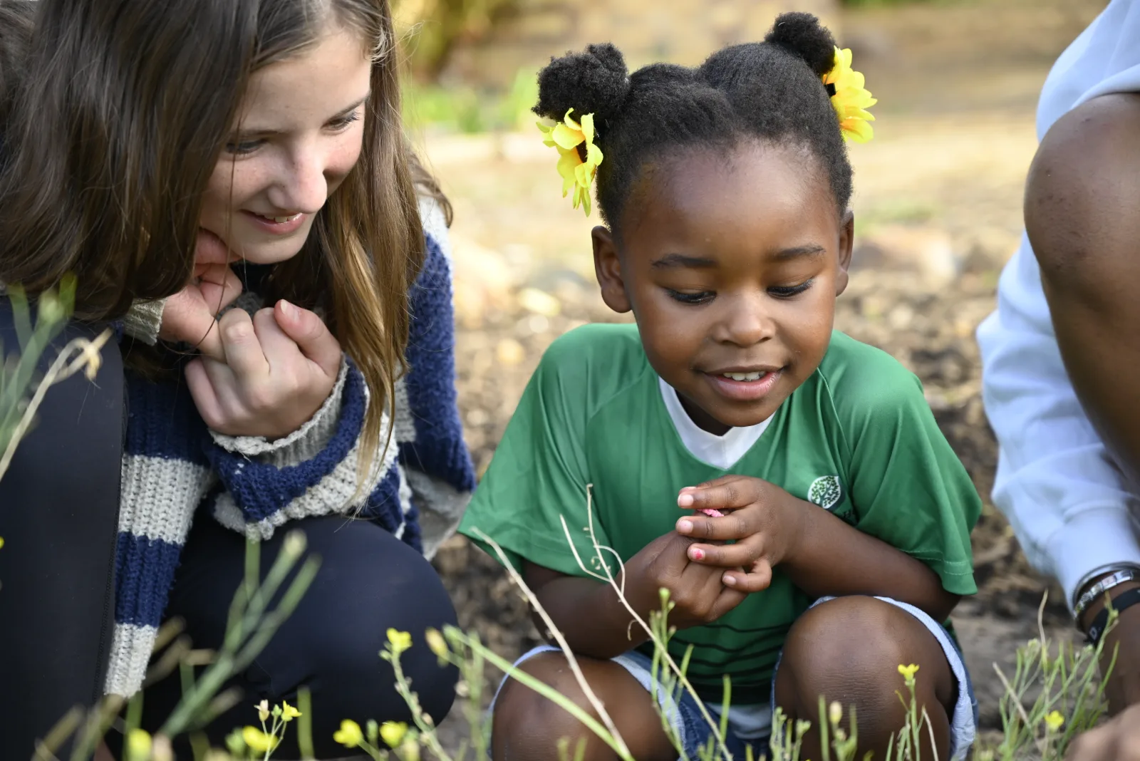 Vegetable gardens at Newberry House